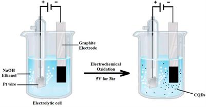 Recent Advances on Synthesis and Potential Applications of Carbon Quantum Dots